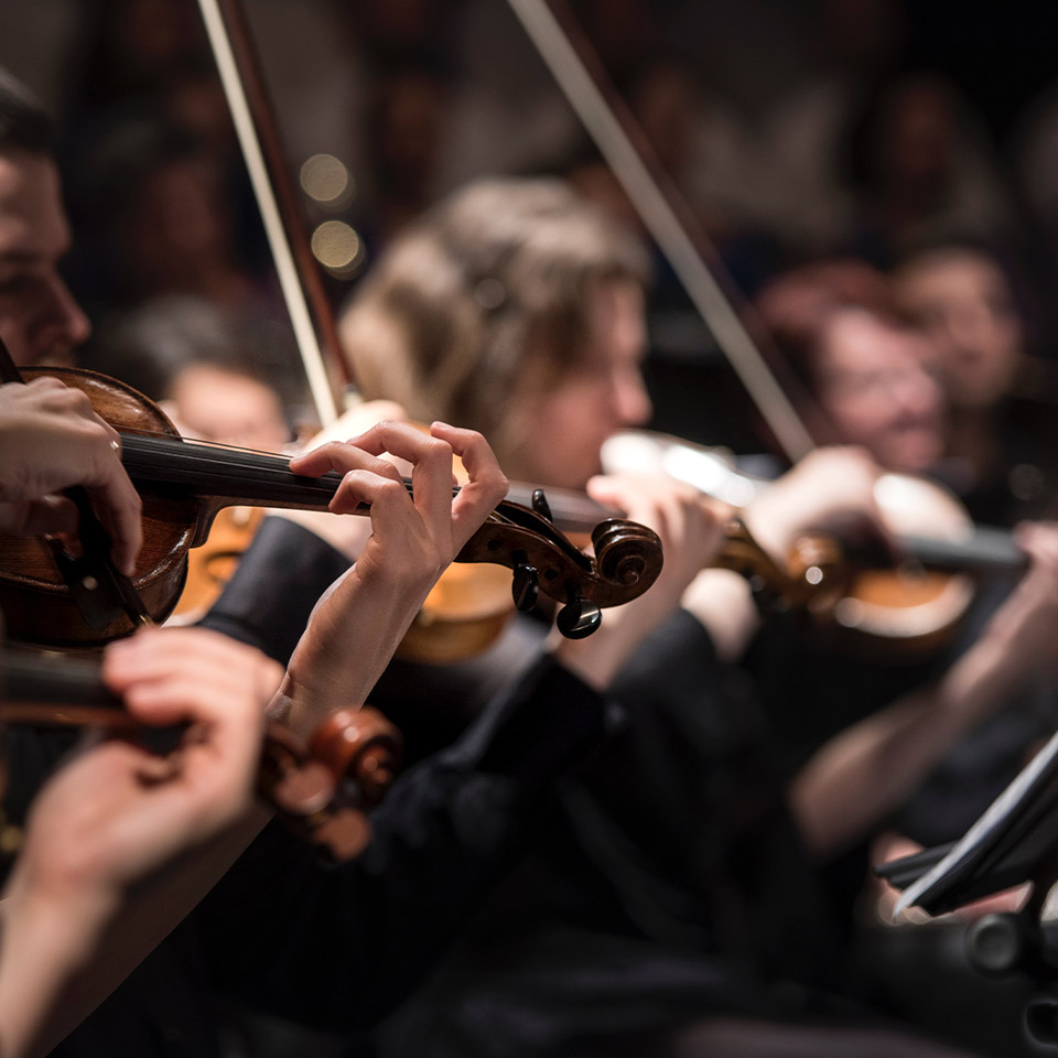 Close up of people playing the violin in an orchestra